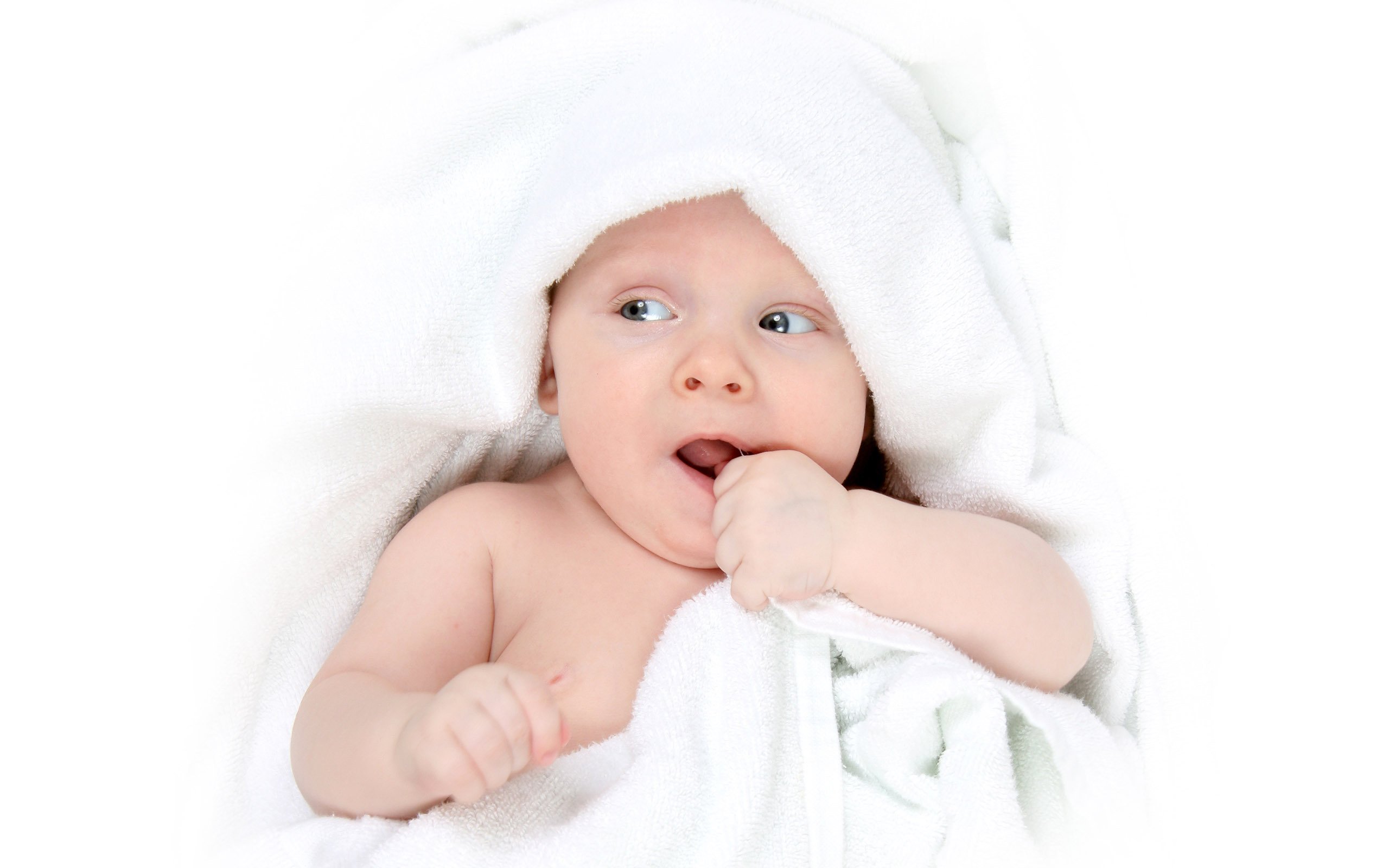 捐卵代怀试管婴儿第二代成功率